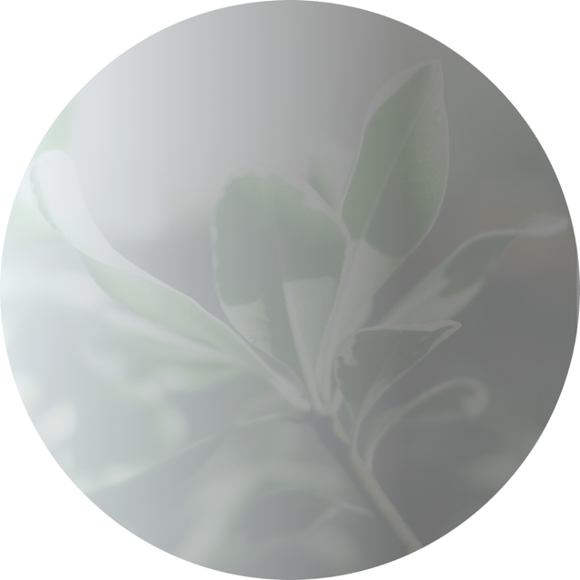 健康でいられる職場づくり